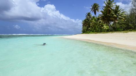 Snorkeler takes in the underwater scenery