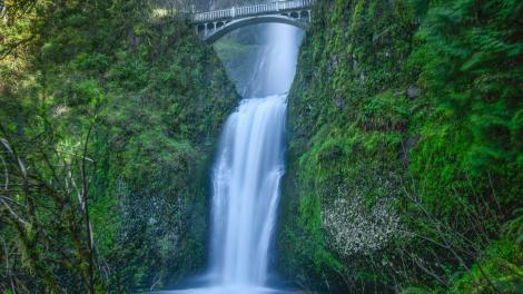 Multnomah Falls, the most visited natural recreation site in the Pacific Northwest