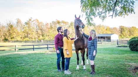 Petting a gentle American Saddlebred at a horse farm