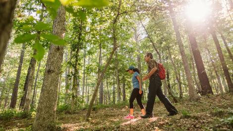在霍布斯州立公园保护区 (Hobbs State Park-Conservation Area) 的林间小道上远足