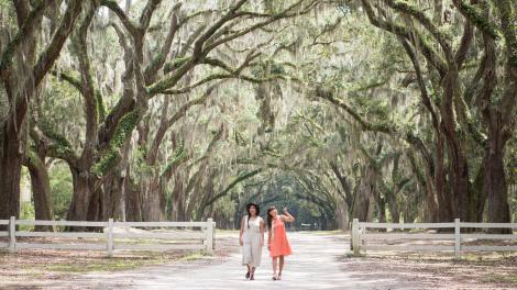 Strolling the oak-lined pathway at Wormsloe State Historic Site in Savannah, Georgia