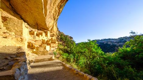 Visite de Cliff Palace, la plus grande bâtisse ancestrale creusée dans la roche (150 pièces)
