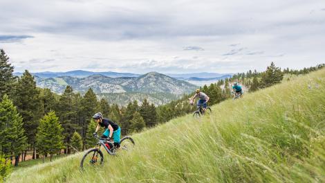 欣赏南部山丘小径路线网的骑行之旅
