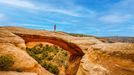 Paysage majestueux du Black Ridge Canyons Wilderness depuis les Rattlesnake Arches, près de Grand Junction, Colorado