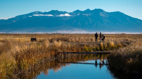 Paysages pittoresques à l’Alamosa National Wildlife Refuge, près d’Alamosa, Colorado