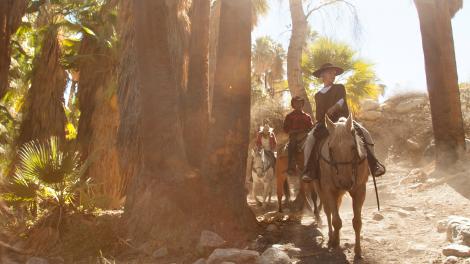 骑上马背穿越风景秀丽的印度峡谷，沿途欣赏淙淙溪流和原生棕榈树林