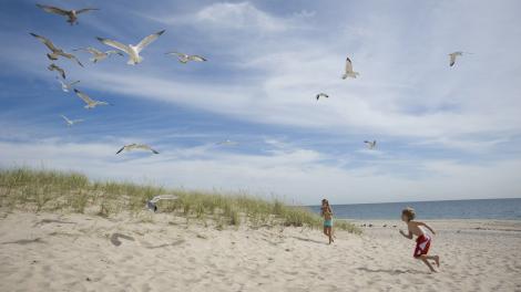 Children playing on a beach in The Hamptons