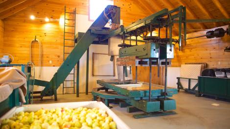 Eine traditionelle Cider-Presse in der Harvest Moon Cidery in Cazenovia, New York