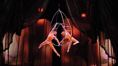 她梦见了他，她强烈的欲望在华丽、充满激情的空中幻想中尽情绽放。