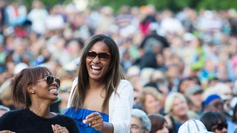 伊利诺伊州芝加哥蓝调音乐节上动人的旋律