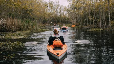 Kayaking tour on an Atchafalaya Basin waterway near Lafayette, Louisiana