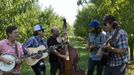 The Wooks 乐队在肯塔基州欧文斯伯勒郊外的农场上演奏 The Wooks 乐队在肯塔基州欧文斯伯勒郊外的农场上演奏