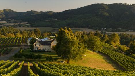 俄勒冈州福里斯特格罗夫镇的戴维山葡萄园和酒庄