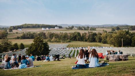 在风景如画的阿灵顿酒庄体验午后之旅