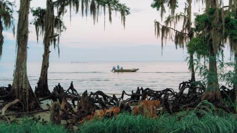 Boating in Fontainebleau State Park near Mandeville, Louisiana