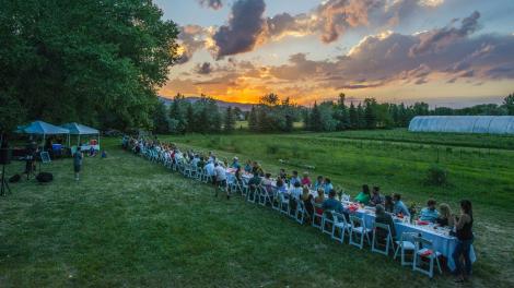 科罗拉多州柯林斯堡的黄昏农场美食活动