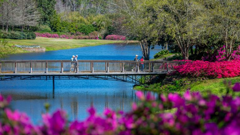 AL_Alabama_Visit Mobile_0723_Bellingrath-Azaleas-7