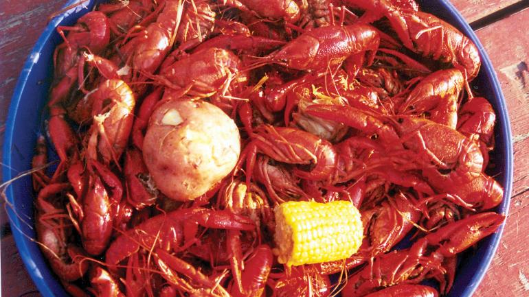 Southwest Louisiana’s coast and wetlands yield fresh, flavorful seafood such as crawfish. Taste the crustaceans along the region’s Seafood Sensation Trail.