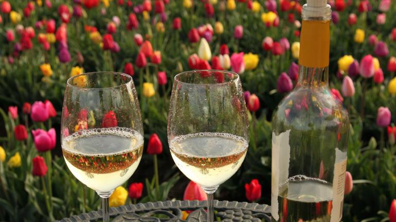 在 Wooden Shoe Vineyards 葡萄园细细品鉴各种葡萄酒，同时可欣赏位于伍德本的 Wooden Shoe Tulip Farm 郁金香农场那色彩缤纷的花卉彩虹。 