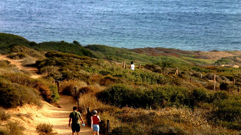 Dirt hiking paths along the bluffs of Torrey Pines offer stunning ocean views.