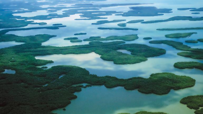 万岛群岛包括众多岛屿和红树林小岛，是佛罗里达州西南部海岸边的一片几乎完全未经开发的生态系统。