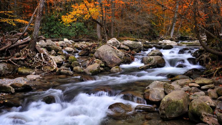 徒步小径中有几乎 1300 公里长的路段位于公园内，包括许多通往瀑布的小径。