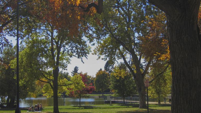 欣赏丹佛华盛顿公园内的美景