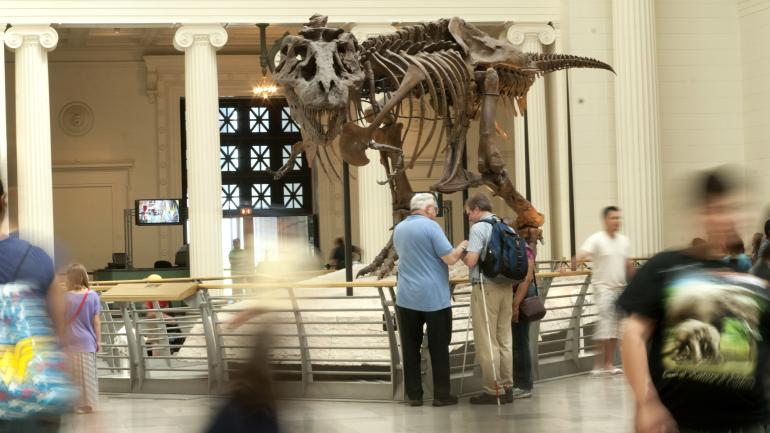 Visiting SUE at The Field Museum in Chicago, Illinois 