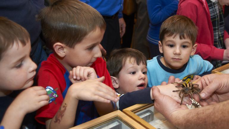 Making new discoveries at The Field Museum in Chicago, Illinois 