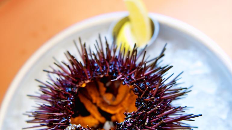 Find freshly caught seafood straight from the Santa Barbara Channel on your table.