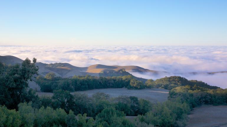 The Summerland Winery Vineyard in Paso Robles offers stunning views of the rolling landscape.