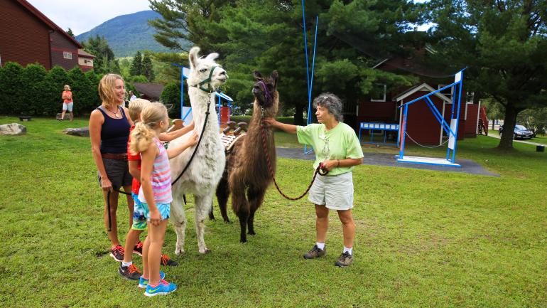 Trek avec un lama à Smugglers' Notch, Vermont