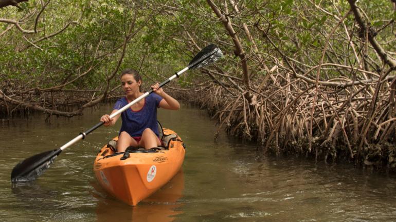 Kayaking through a mangrove forest on one of Charlotte County’s many waterways