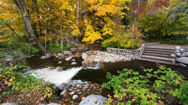 阿什兰镇利西亚公园的秋日