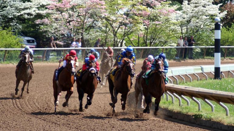 肯塔基州基恩兰赛马场的一场赛马比赛中，纯种马向终点线飞奔而去