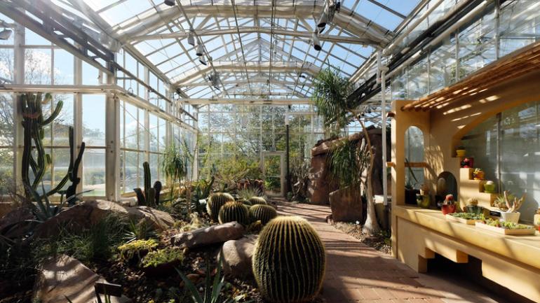 弗雷德里克•梅耶尔花园及雕塑公园