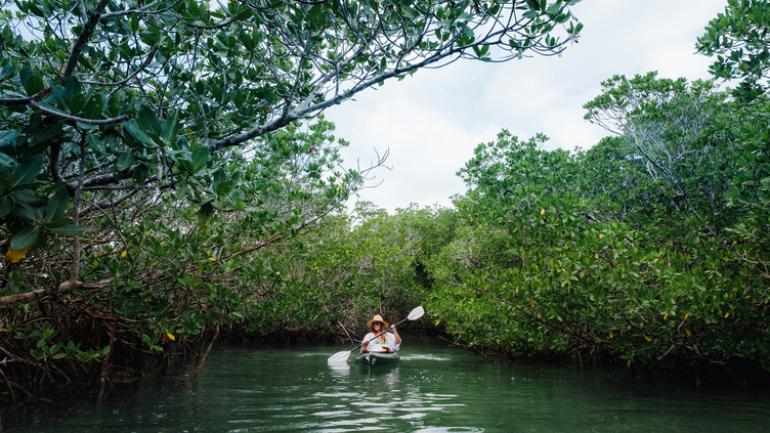 在基韦斯特感受皮划艇的乐趣