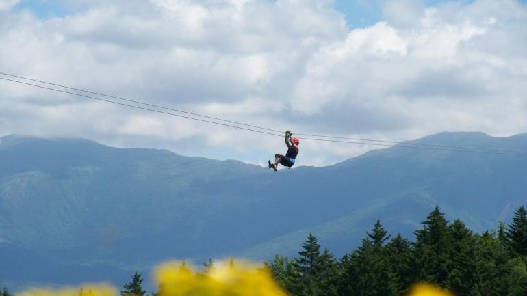 体验布雷顿森林树冠之旅，飞越树顶高空