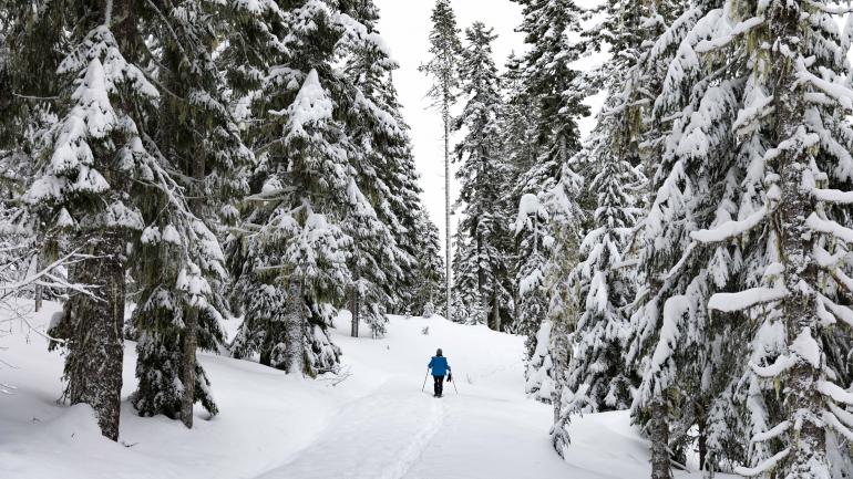 在清冷的冬日体验胡德山野外健行