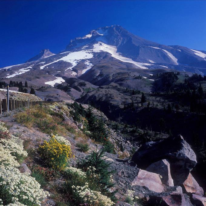 胡德山山峰有 11 处冰川，山峰海拔 3,426 米，是俄勒冈州最高峰。