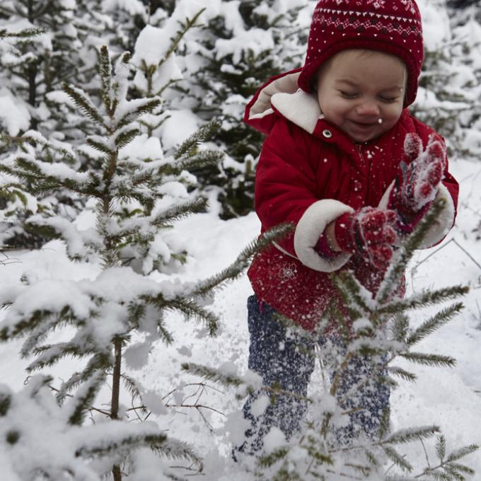 带上您的靴子：雪城的降雪量要高于美国其他任何一个城市