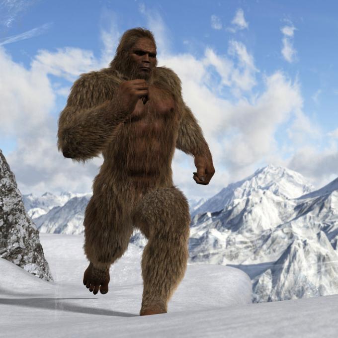 缅因州波特兰神秘动物学博物馆的展览