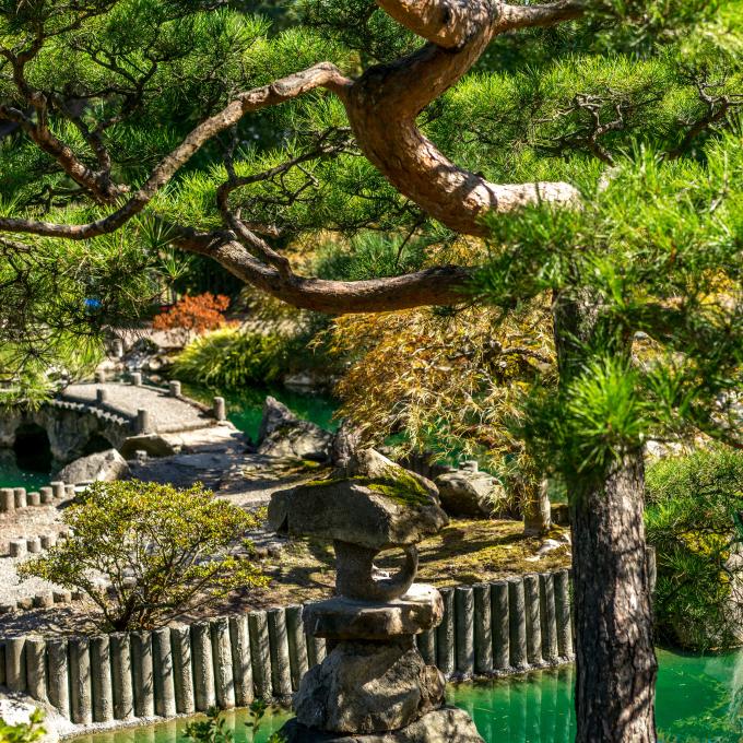 华盛顿州海莱西塔科植物园景观