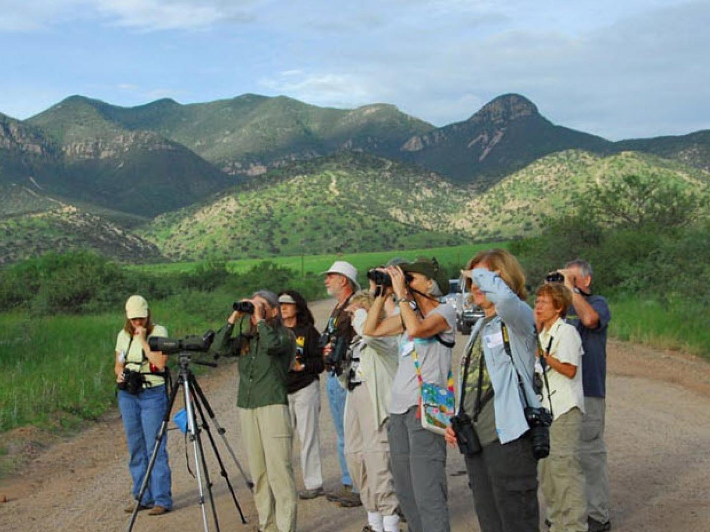 在图森的亚利桑那州东南部观鸟节上一睹精彩