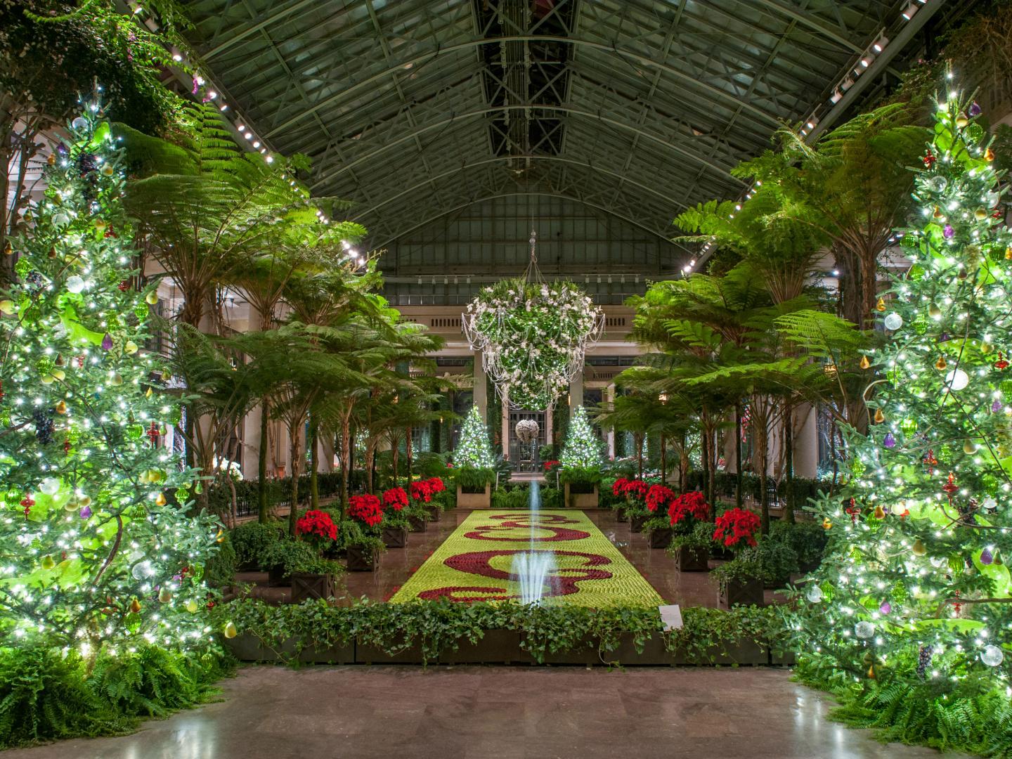 长木花园圣诞季期间节日灯饰点亮这片广阔公园