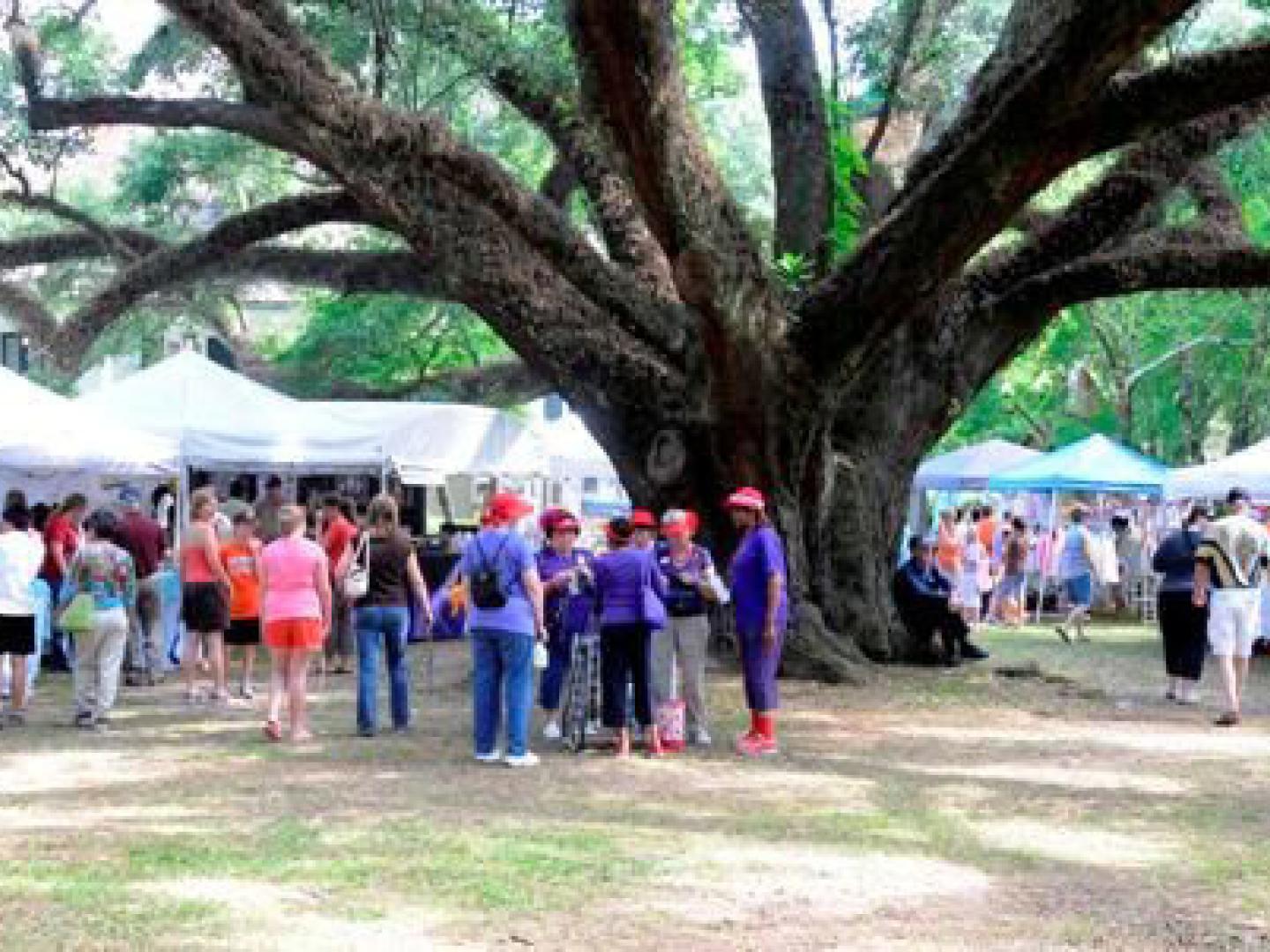 在梅尔罗斯工艺品和手工品节，观赏摆放在树下的艺术品