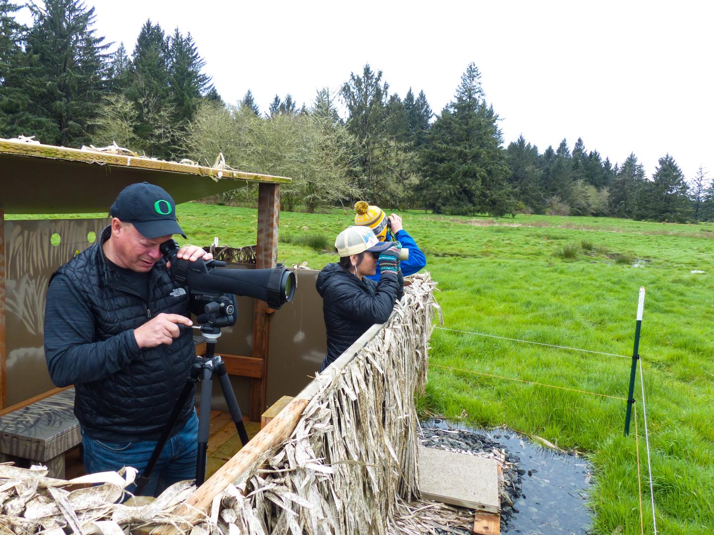 在 Wings Over Willapa 观鸟节期间到威拉帕国家野生动物保护区 (Willapa National Wildlife Refuge) 观鸟