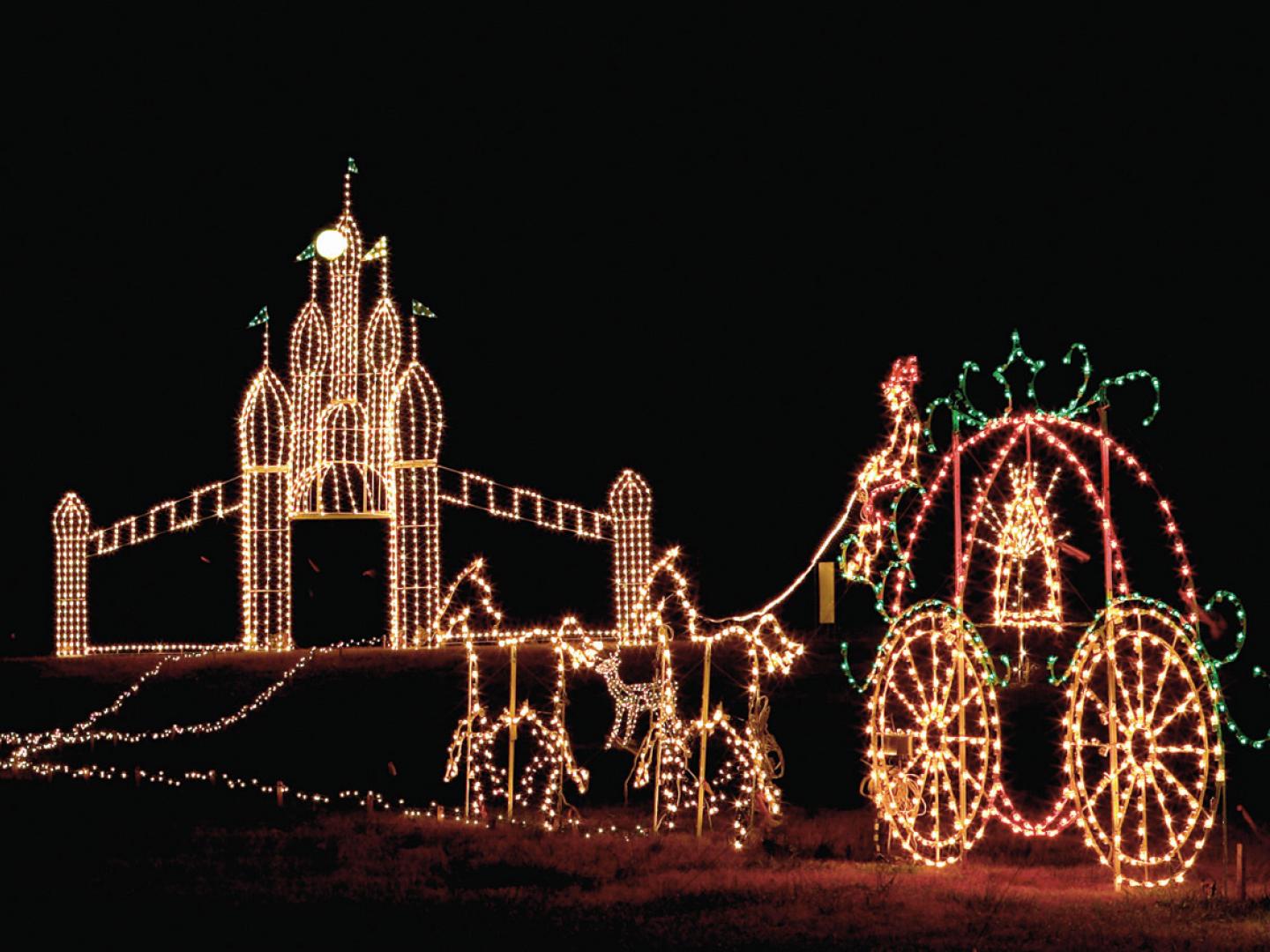 Galaxy of Lights 灯光秀期间，在亨茨维尔植物园内展出的一件作品