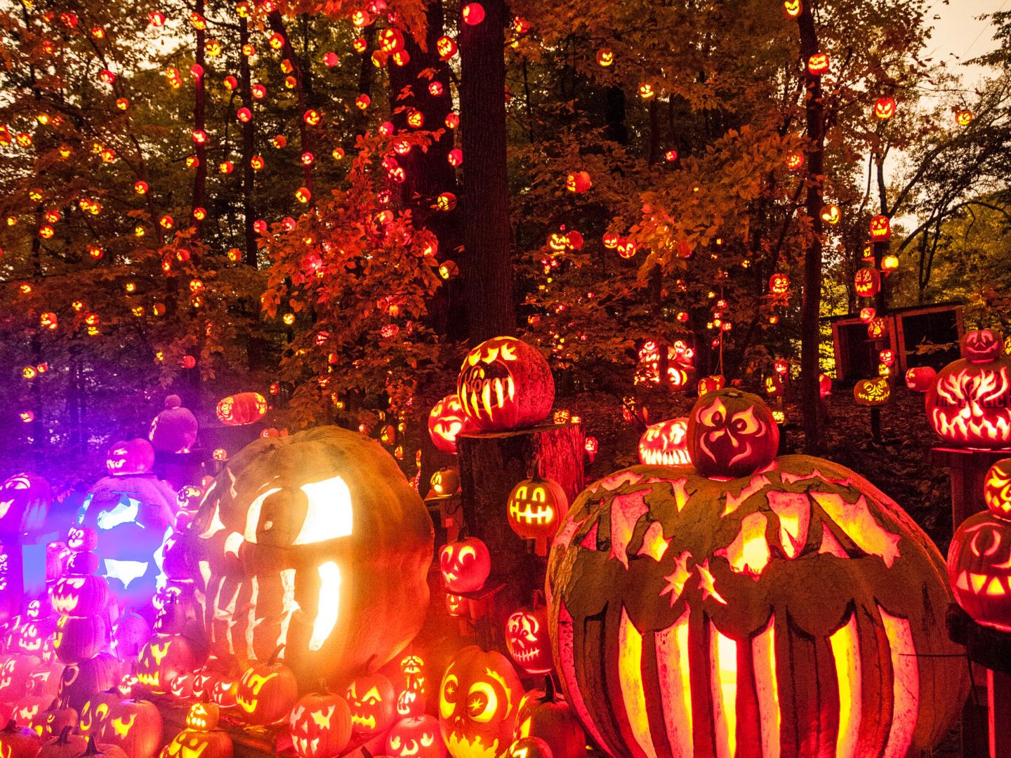 在肯塔基州路易维尔的杰克南瓜灯盛会 (Jack-O-Lantern Spectacular) 上展出成千上万的杰克南瓜灯