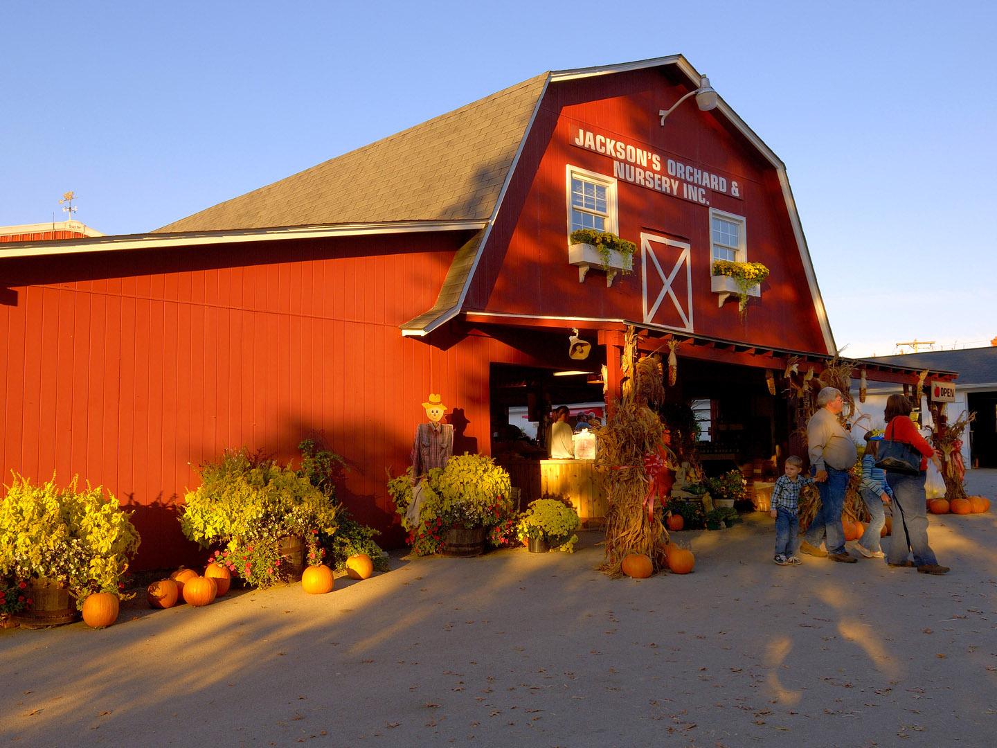 Jackson's Orchard 南瓜节